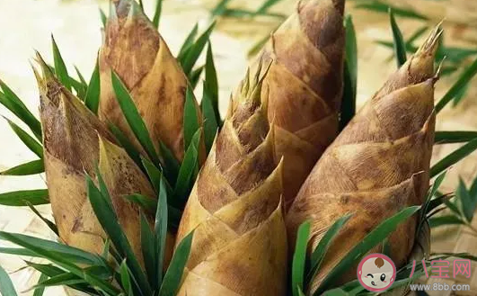 驚蟄節氣吃什么食物養生 驚蟄養生食譜推薦 驚蟄節氣吃什么食物養生 驚蟄養生食譜推薦