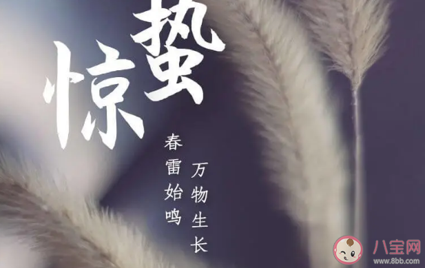 2021今日驚蟄的經典文案 驚蟄節氣唯美說說句子