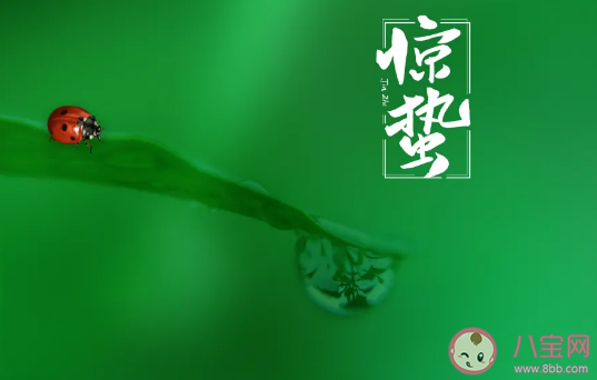 2021驚蟄節氣簡短文案句子 關于驚蟄的簡短說說