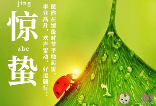 2021驚蟄節氣朋友圈祝福語 驚蟄快樂說說句子