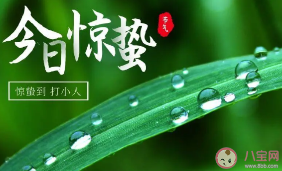 驚蟄節氣快樂的簡短祝福語 關于驚蟄的祝福短句