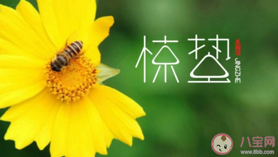 驚蟄節氣快樂的簡短祝福語 關于驚蟄的祝福短句