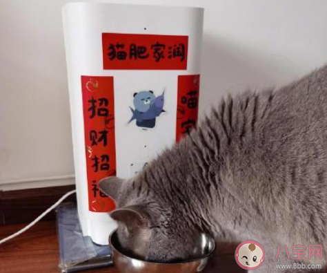 建議遺棄寵物行為納入個(gè)人不良征信記錄 遺棄寵物是怎樣的行為 建議遺棄寵物行為納入個(gè)人不良征信記錄 遺棄寵物是怎樣的行為