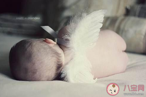 為什么丁克越來越多 年輕人不生孩子的原因是什么 為什么丁克越來越多 年輕人不生孩子的原因是什么