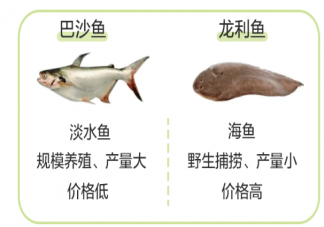 龍利魚和巴沙魚是一種魚嗎 龍利魚和巴沙魚怎么區(qū)分