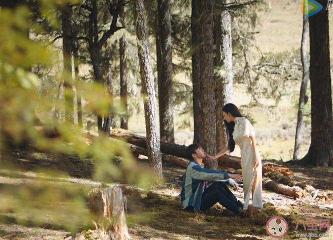 司藤和秦放有感情線嗎 司藤和秦放結(jié)局最后在一起了嗎 司藤和秦放有感情線嗎 司藤和秦放結(jié)局最后在一起了嗎