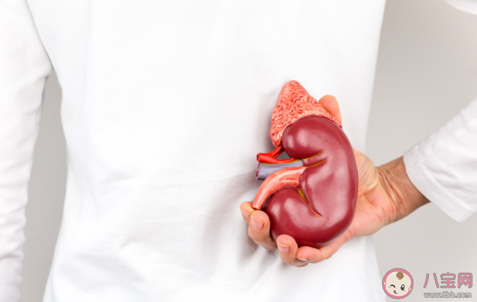 哪些情況要警惕腎臟有問題 慢性腎臟病的常見原因有哪些