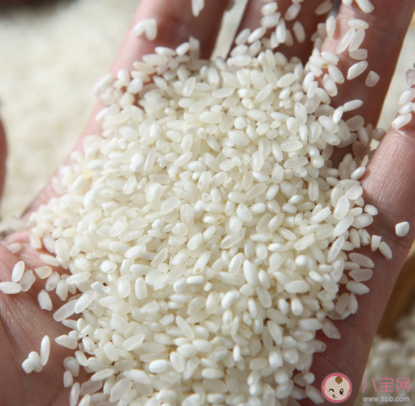 糙米與白米哪個(gè)更有營養(yǎng) 糙米和白米怎么吃更健康