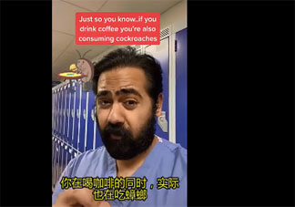 英國醫生稱多數咖啡粉中含有蟑螂是怎么回事 蟑螂和咖啡有什么關系