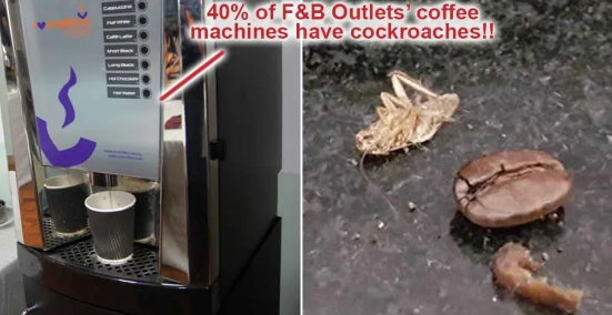 多數咖啡粉中含有蟑螂是真的嗎 為什么咖啡機里會有蟑螂