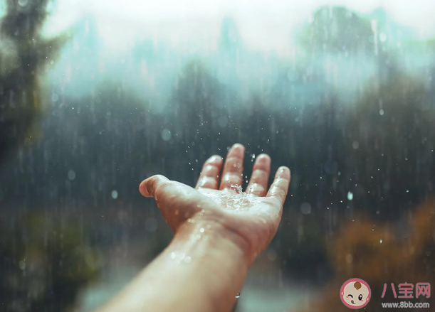 春季是除濕的好時節嗎 為什么春天容易濕氣重 春季是除濕的好時節嗎 為什么春天容易濕氣重