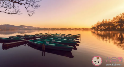 你的職業(yè)是你的興趣嗎 把愛好當職業(yè)好嗎
