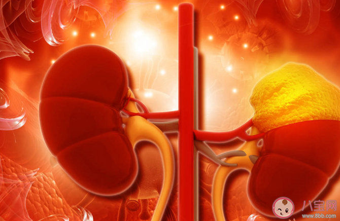 慢性腎臟病有哪些癥狀要注意 如何預(yù)防保護腎臟健康 慢性腎臟病有哪些癥狀要注意 如何預(yù)防保護腎臟健康