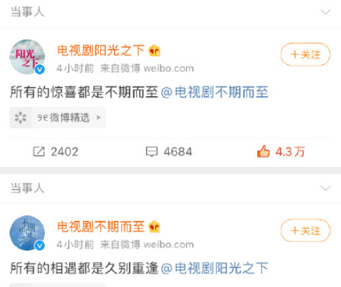 電視劇《不期而至》講的是什么 彭冠英蔡文靜再次合作了嗎