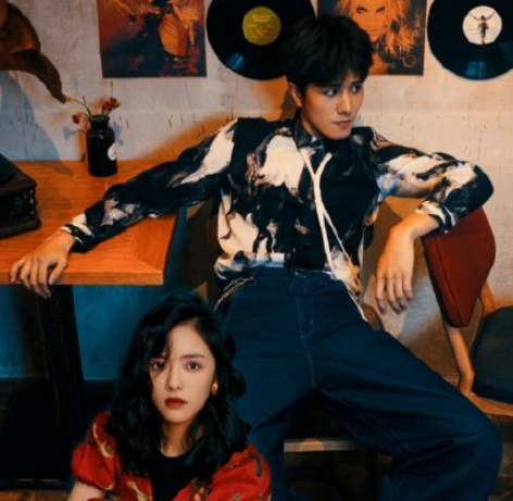 電視劇《不期而至》講的是什么 彭冠英蔡文靜再次合作了嗎