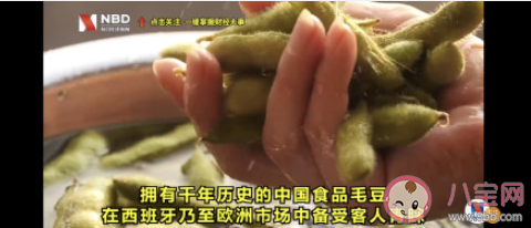 中國毛豆風靡西班牙是什么原因 毛豆吃了有什么好處 中國毛豆風靡西班牙是什么原因 毛豆吃了有什么好處