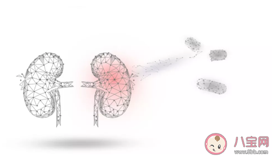 慢性腎病患者有哪些癥狀 慢性腎病患者注意事項 慢性腎病患者有哪些癥狀 慢性腎病患者注意事項