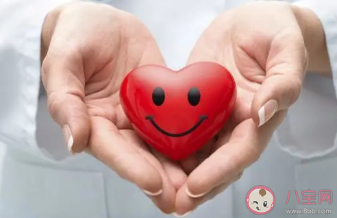 腎臟不好如何科學補腎 應該多吃什么食物