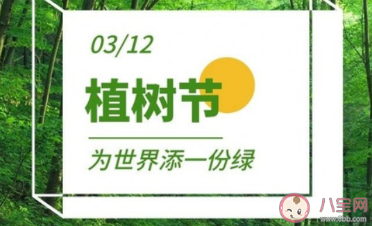 2021幼兒園植樹節主題活動大全 植樹節相關的活動方案