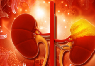 慢性腎臟病有哪些癥狀要注意 如何預防保護腎臟健康