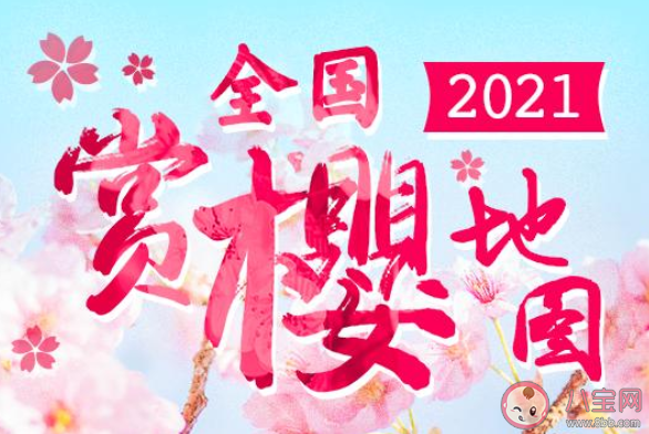 2021全國賞櫻地圖出爐 十五大熱門賞櫻地花期匯總