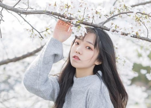 賞櫻穿什么顏色衣服好看 拍櫻花適宜穿的衣服推薦