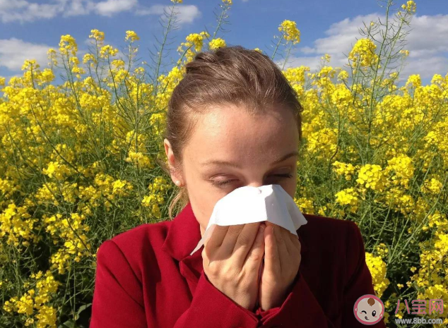 花粉過敏有多嚴重 花粉過敏最有效治療方法是什么