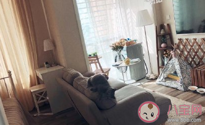 有考慮過一直租房生活嗎 年輕人喜歡租房的原因 有考慮過一直租房生活嗎 年輕人喜歡租房的原因