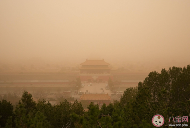 沙塵天氣對兒童有什么危害 沙塵天氣如何孩子健康防護(hù) 沙塵天氣對兒童有什么危害 沙塵天氣如何孩子健康防護(hù)