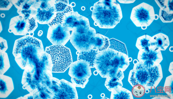 沙塵暴天氣對人體有哪些危害 沙塵中有哪些有害物質