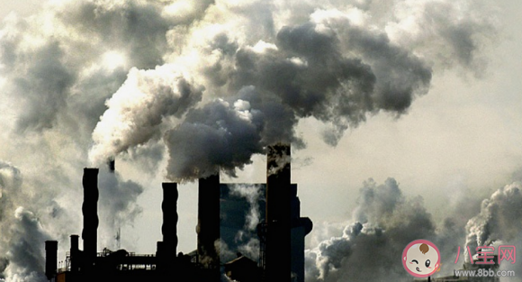 沙塵暴和霧霾哪個危害更大 沙塵暴和霧霾的區(qū)別