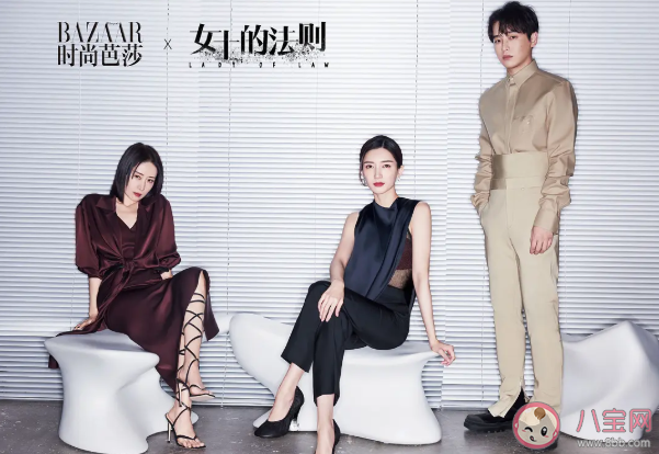 《女士的法則》陣容官宣 《女士的法則》講述了什么故事 《女士的法則》陣容官宣 《女士的法則》講述了什么故事