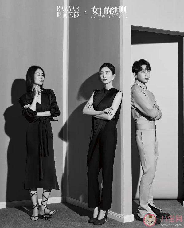 《女士的法則》陣容官宣 《女士的法則》講述了什么故事 《女士的法則》陣容官宣 《女士的法則》講述了什么故事