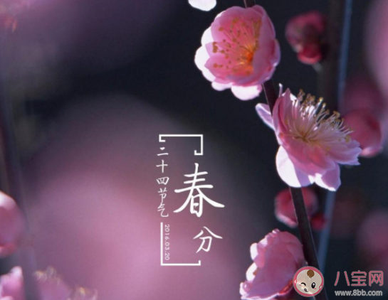 2021春分節氣經典順口溜說說句子 2021春分節氣好玩的諺語俗語大全
