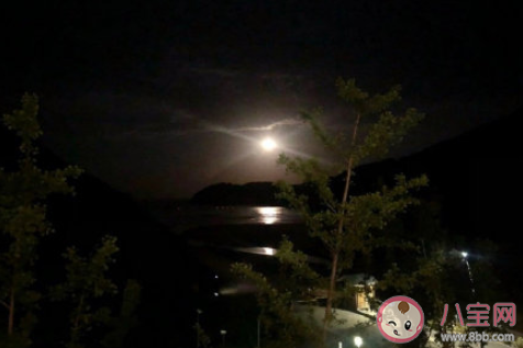 肖戰的零散隨記全文 肖戰的零散隨記寫了些什么