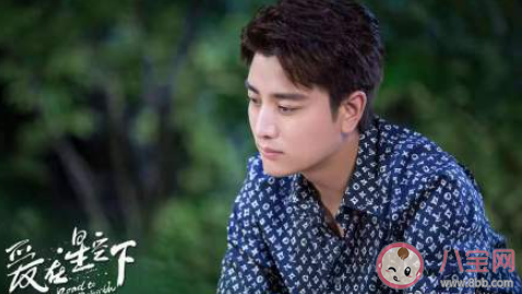 《愛在星空下》追劇日歷 《愛在星空下》追劇時(shí)間表