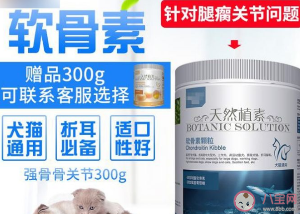 養貓的智商稅有哪些 養貓交過的智商稅盤點 養貓的智商稅有哪些 養貓交過的智商稅盤點