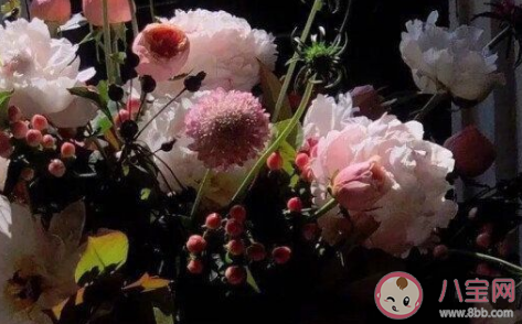 有哪些看得特別透徹的句子 看透一切的句子盤(pán)點(diǎn)