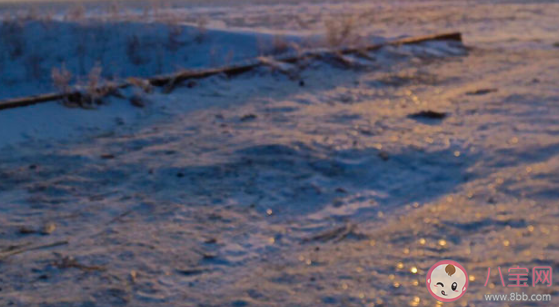 有哪些看得特別透徹的句子 看透一切的句子盤點 有哪些看得特別透徹的句子 看透一切的句子盤點