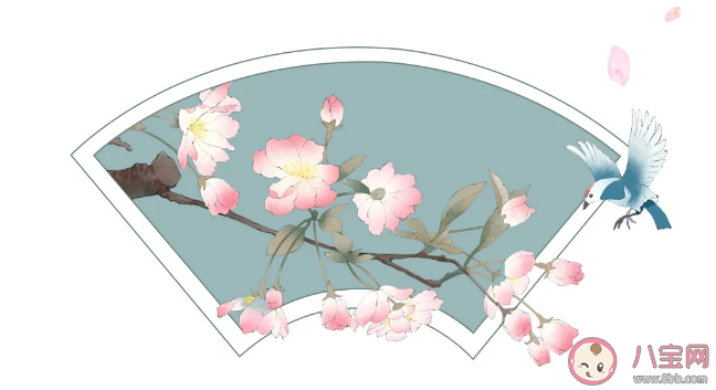 2021春分借勢(shì)文案怎么寫 春分節(jié)氣創(chuàng)意文案大全