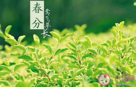 2021今日春分朋友圈溫馨文案 今日春分溫暖句子