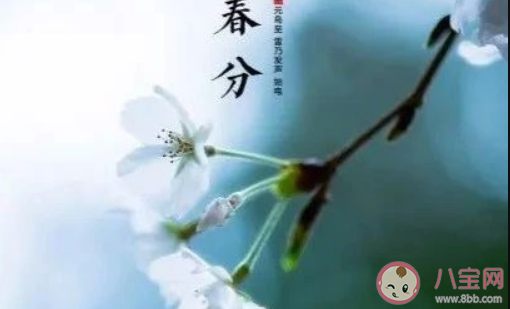 2021今日春分朋友圈溫馨文案 今日春分溫暖句子