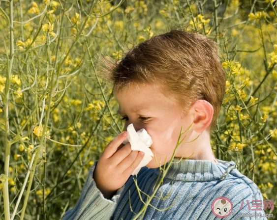 花粉過敏掛什么科 嚴重的花粉過敏有哪些后果 花粉過敏掛什么科 嚴重的花粉過敏有哪些后果