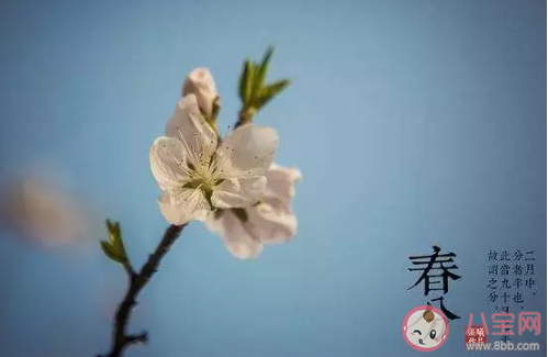 2021春分節氣是哪一天 春分節氣幾時幾分