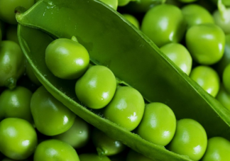 春季孩子長高三倍發(fā)育期 春天給孩子吃什么蔬菜長得高