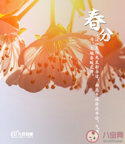 春分來了的正能量說說 今日春分積極陽光句子