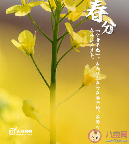 春分來了的正能量說說 今日春分積極陽光句子