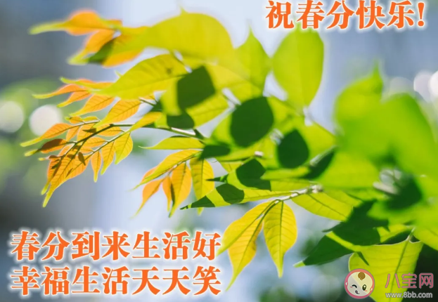 2021春分早安的祝福語 春分早安心語句子