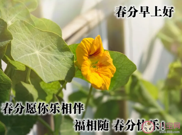 2021春分早安的祝福語 春分早安心語句子 2021春分早安的祝福語 春分早安心語句子