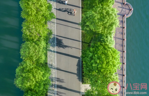 2021清明節湖北旅游去哪好 武漢清明節旅游地點推薦